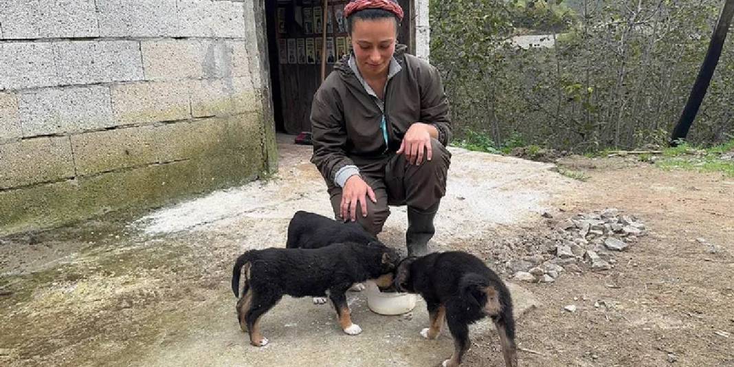 İstanbul’u bırakıp Giresun’a yerleştiler, kendi mandıralarını kurdular! 5 hayvan sayısı şimdi 40’a ulaştı: Üretim onlarla arttı 4